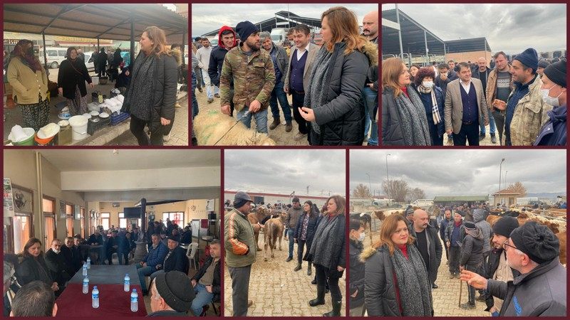 Köksal; “Üreticiler kredi taksitlerini ödeyemediklerini için hayvanlarını satıyorlar”
