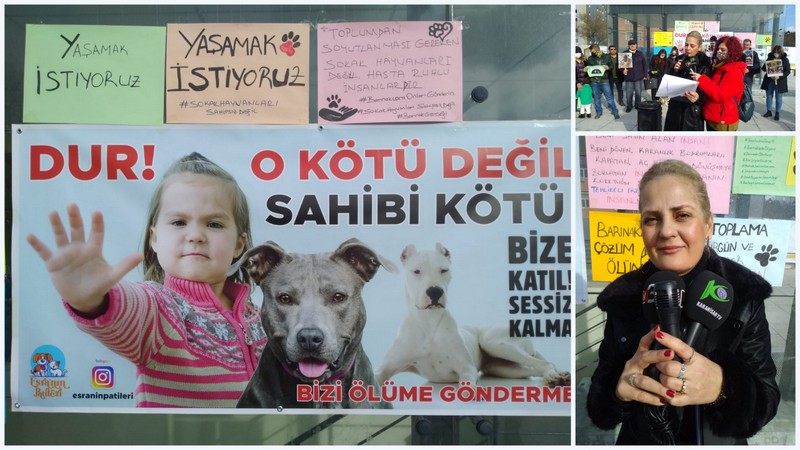 Katliamcı belediyelere dur diyecek tek merci Cumhurbaşkanı